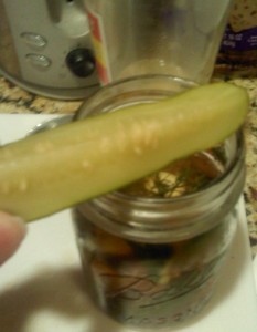 0725122213 A refrigerated Drunken Half-Sour Cuke spear