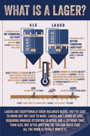 What is a lager? infographic