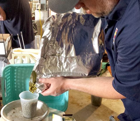 Chris Kelley measuring hops for his beer Go Bigg or Go Home